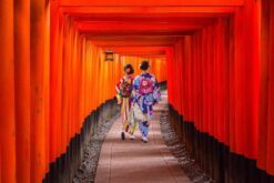 Fushimi Inari Shine