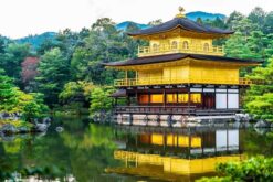 Viếng chùa Kinkakuji