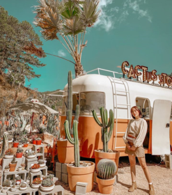Kombi Land 3