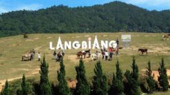 Tour du lịch Nha Trang - Đà Lạt 5 ngày 4 đêm - Khám phá đảo xanh Hòn Tằm