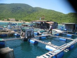 làng chài nha trang