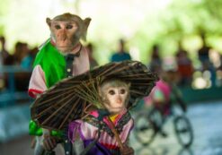 monkey-island-2