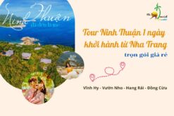 Tour Ninh Thuận 1 ngày khởi hành từ Nha Trang trọn gói giá rẻ