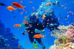 Tour lặn biển - đi bộ dưới đáy biển Bãi Tranh Nha Trang
