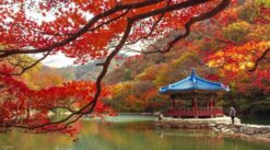 Tour Hàn Quốc 5N5Đ khởi hành từ Nha Trang: SEOUL - HERB ISLAND - SOKCHO - SEORAKSAN