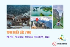 Tour Miền Bắc 7N6Đ: Hà Nội - Hà Giang - Hạ Long - Ninh Bình - Sapa