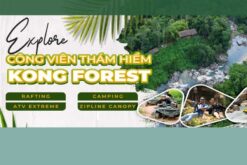Tour Nha Trang 1 ngày: Khám phá Kong Forest - Nhà bác sỹ Alexandre Yersin tại đỉnh Hòn Bà