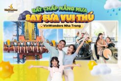 Tour Nha Trang 3 Ngày 2 Đêm: Kong Forest - VinWonders - Hang Rái - Vĩnh Hy - Đồng Cừu