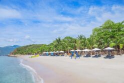 Alternative view of Tour Hòn Sỏi - Hồ cá Trí Nguyên Nha Trang - Lặn biển/ đi bộ dưới biển
