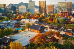 Tour Hàn Quốc mùa thu: Busan - Seoul khởi hành từ Cam Ranh