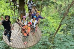 Alternative view of Tour Nha Trang 4N3Đ: Kong Forest - Điệp Sơn - đảo Hòn Tằm - City tour