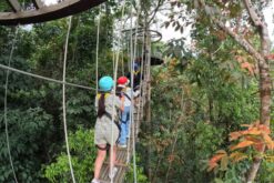 Alternative view of Tour Nha Trang 4N3Đ: Kong Forest - Đảo Hòn Tằm - VinWonders - Vĩnh Hy - Hang Rái - Đồng Cừu