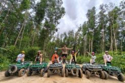 Alternative view of Tour Nha Trang 4N3Đ: Kong Forest - VinWonders - du thuyền - Hang Rái - Đồng Cừu