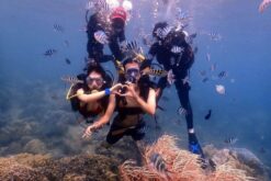 Alternative view of Tour lặn biển Nha Trang - Hòn Mun/ Đầm Bấy 1 ngày