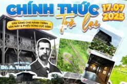 Tour khám phá Kong Forest – Hòn Bà 2 ngày 1 đêm