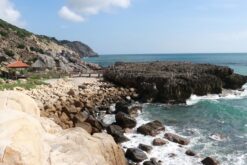 Alternative view of Tour du lịch Ninh Thuận - Nha Trang 3N2Đ khởi hành từ TP.HCM