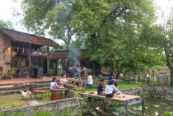Alternative view of Tour 1 ngày: Khám phá Memento Countryside - Trầm Hương Hoàng Trầm - Làng Nhỏ Hồ Láng Nhớt