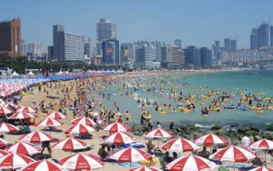 Review du lịch Busan mùa hè các trải nghiệm thú vị nhất